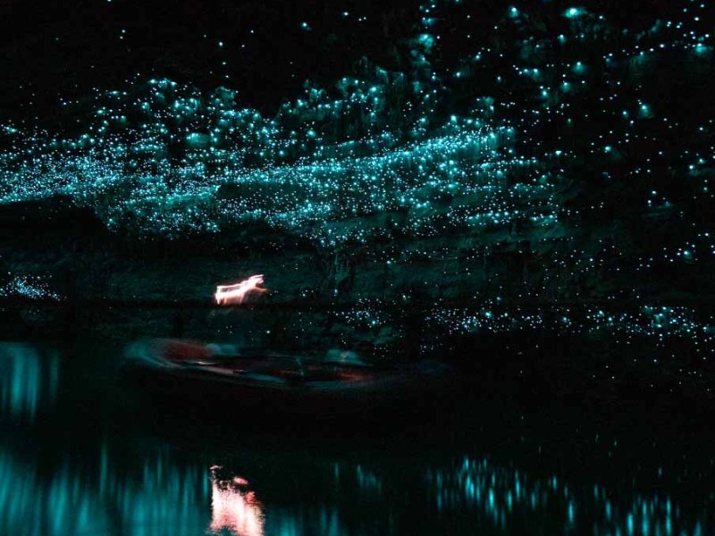 New Zealand: Khám phá&nbsp;Rotorua