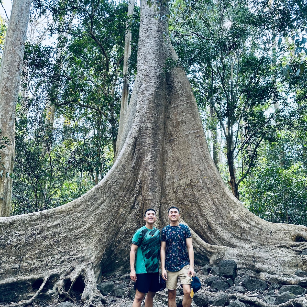 Rừng Nam Cát Tiên – Cat Tien National&nbsp;Park